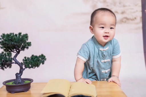 涟源可爱的企鹅宝宝